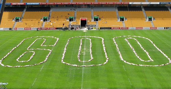 Barkers 600 at Mt Smart stadium